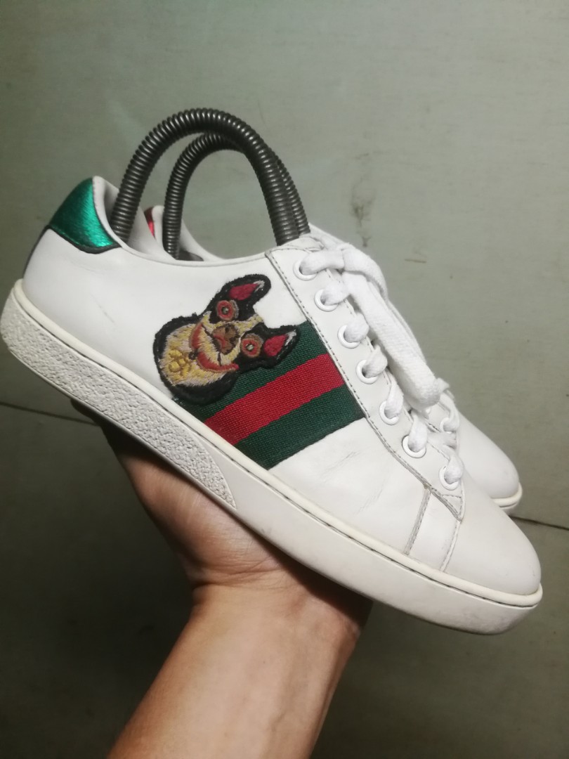gucci sneakers dog