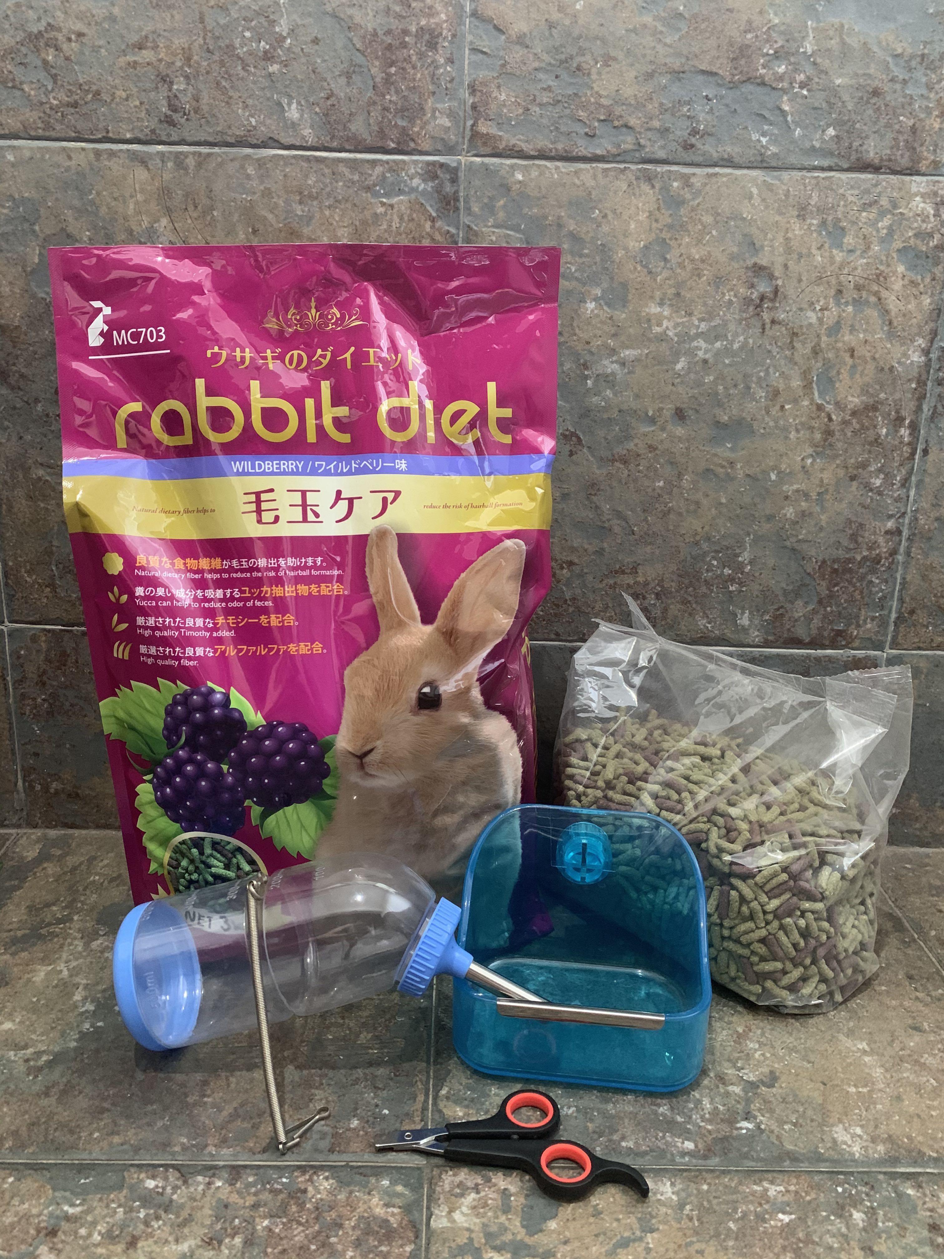 rabbit accessories