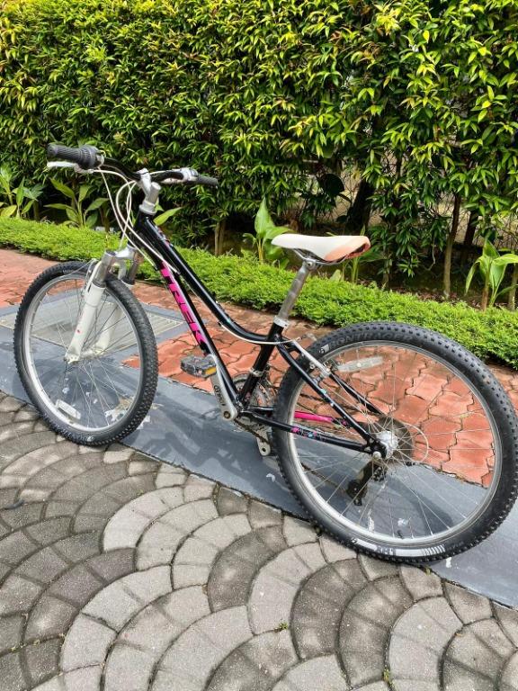 Trek mt 220 handlebar grips online