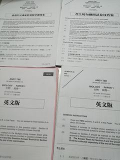 （分類：）位於 。 由 store_aaa 提交（商品編號 1045816556，圖片 1）。簡介： 。