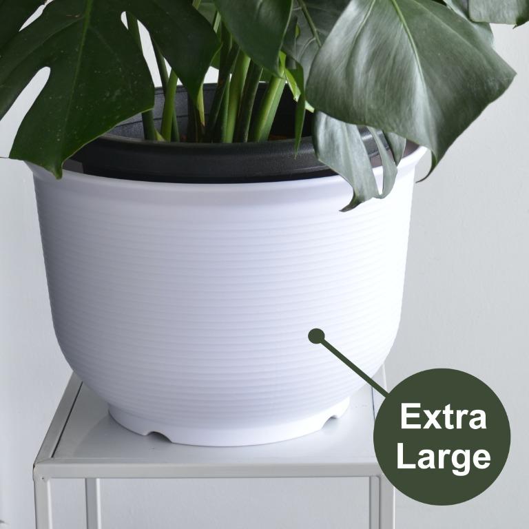 Large Plant Pot Flower Pot Minimalist Nordic Gardening Pots Planters On Carousell