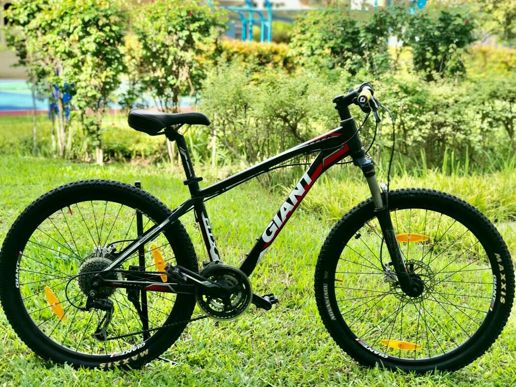 Mountain Bike Giant ATX Upgraded