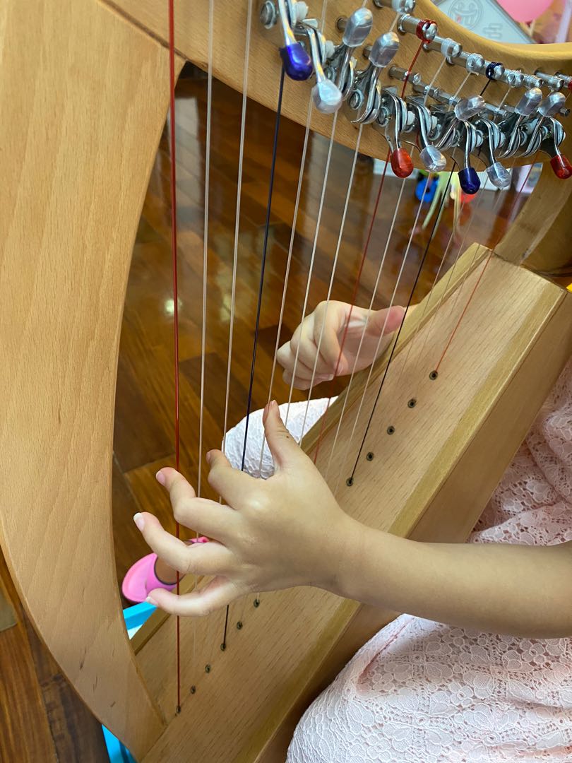 Ma'anshan District Harp Tutor Available in All Districts62859980580611111