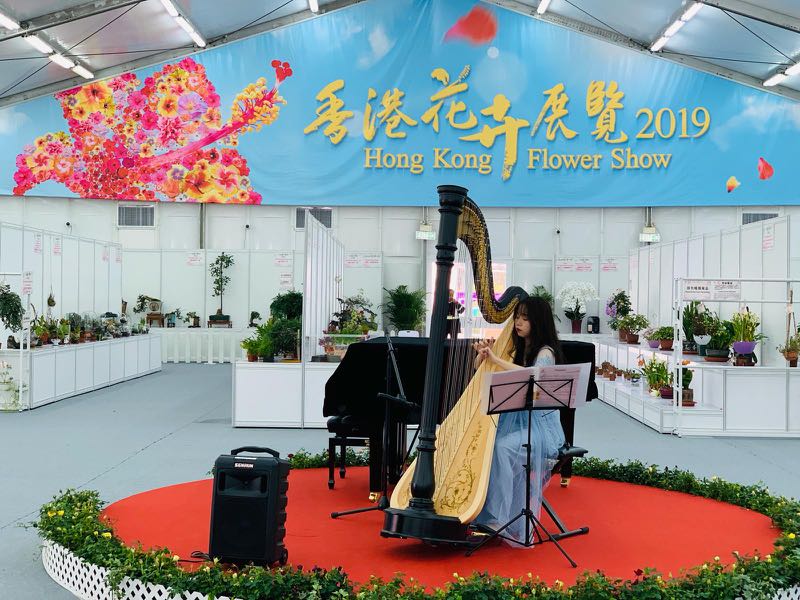 Ma'anshan District Harp Tutor Available in All Districts62859980580611112
