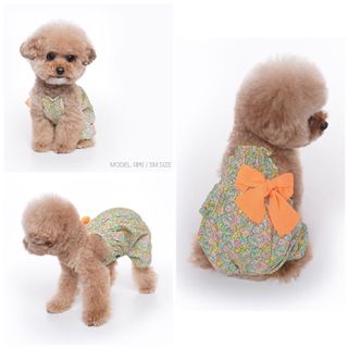 （分類：）位於 。 由 dog_papa 提交（商品編號 1045871622，圖片 1）。簡介： 。
