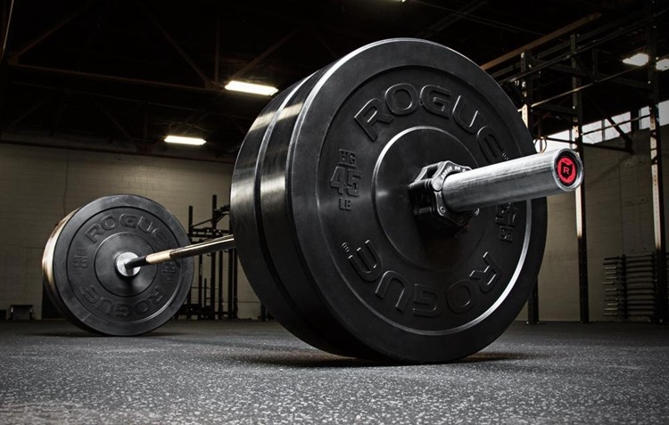 rogue bumper plate set used