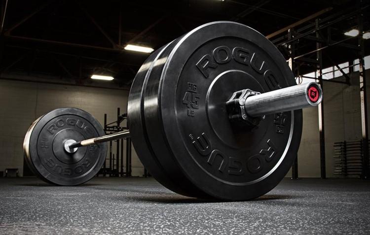 ROGUE HG 2.0 Bumper Plates IWF Training Bumpers BN READY STOCK Sports Equipment Exercise Fitness Weights Dumbbells on Carousell