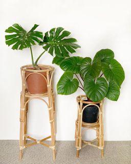 Rustic Rattan Plant Stand Planters Rattan Stands