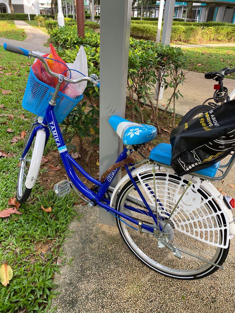 bike with basket and back seat