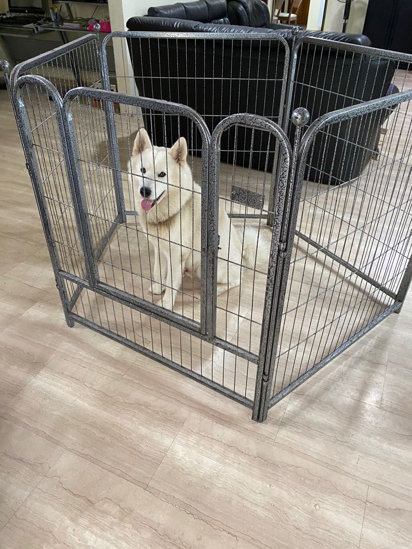 Dog Cage, Pet Supplies, Homes & Other Pet Accessories on Carousell
