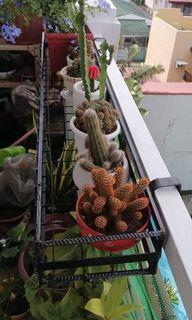 Hanging Plant Rack or Garden railing