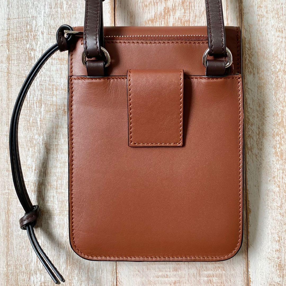 Loewe Gusset Flat Crossbody Bag in Tan
