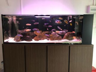 (Category: ) located in . Submitted by jonjt (Listing ID 1039561780, Image 1). Description: .
