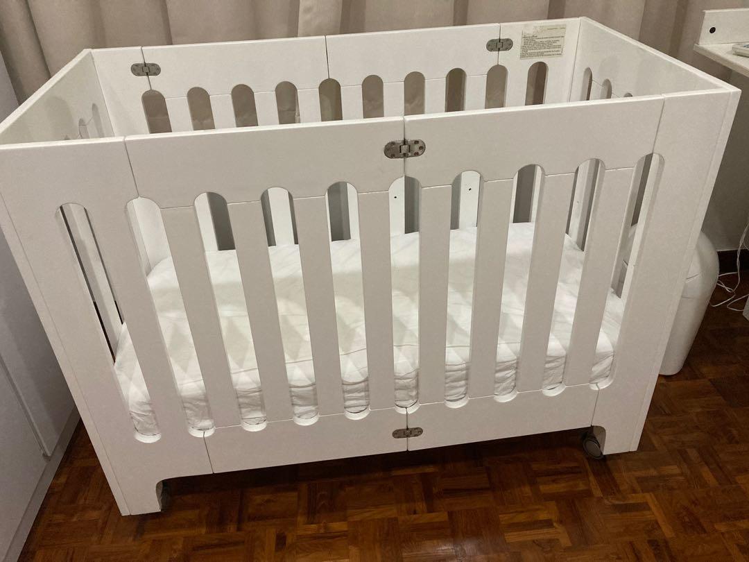 Alma papa bloom new arrivals