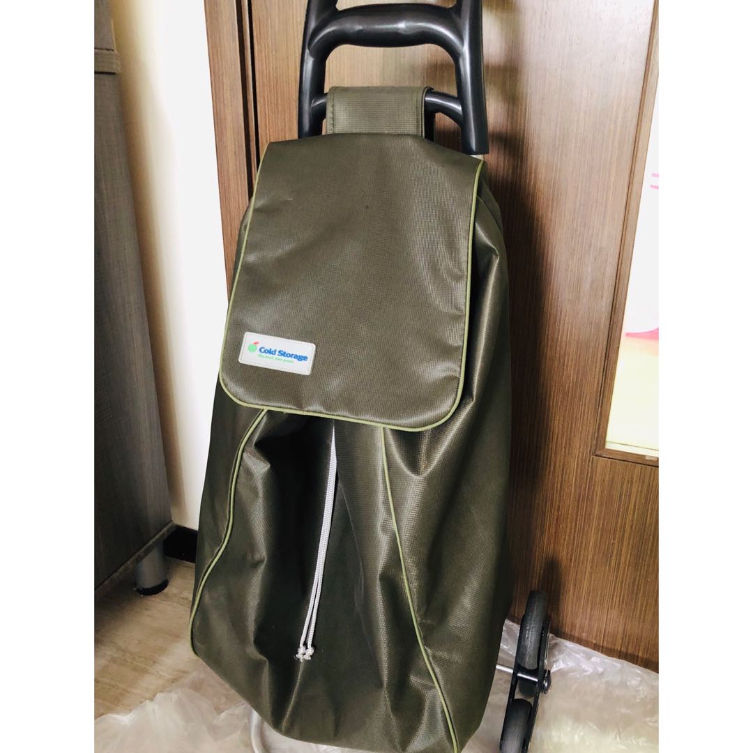 Cold storage trolley bag online
