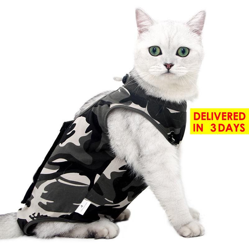 cat recovery suit near me