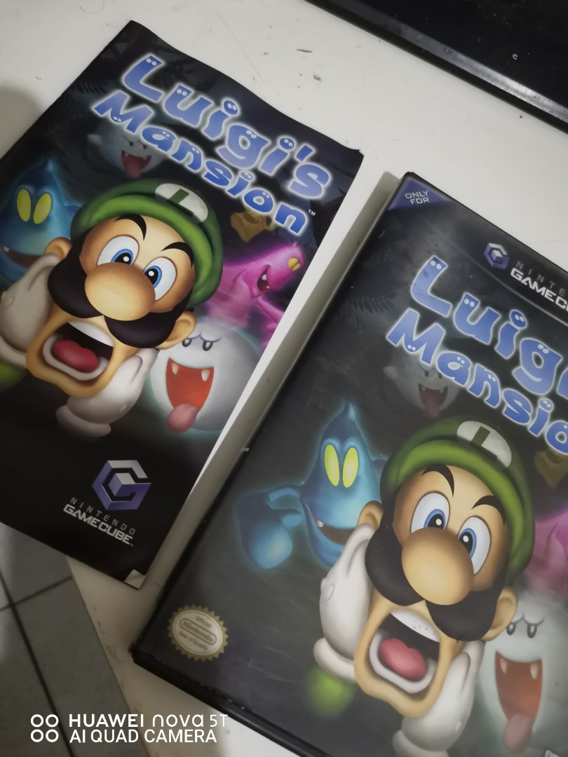 luigi's mansion
