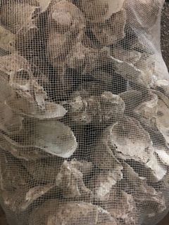 (Category: ) located in . Submitted by aquaticvalleysg (Listing ID 1039606035, Image 1). Description: .