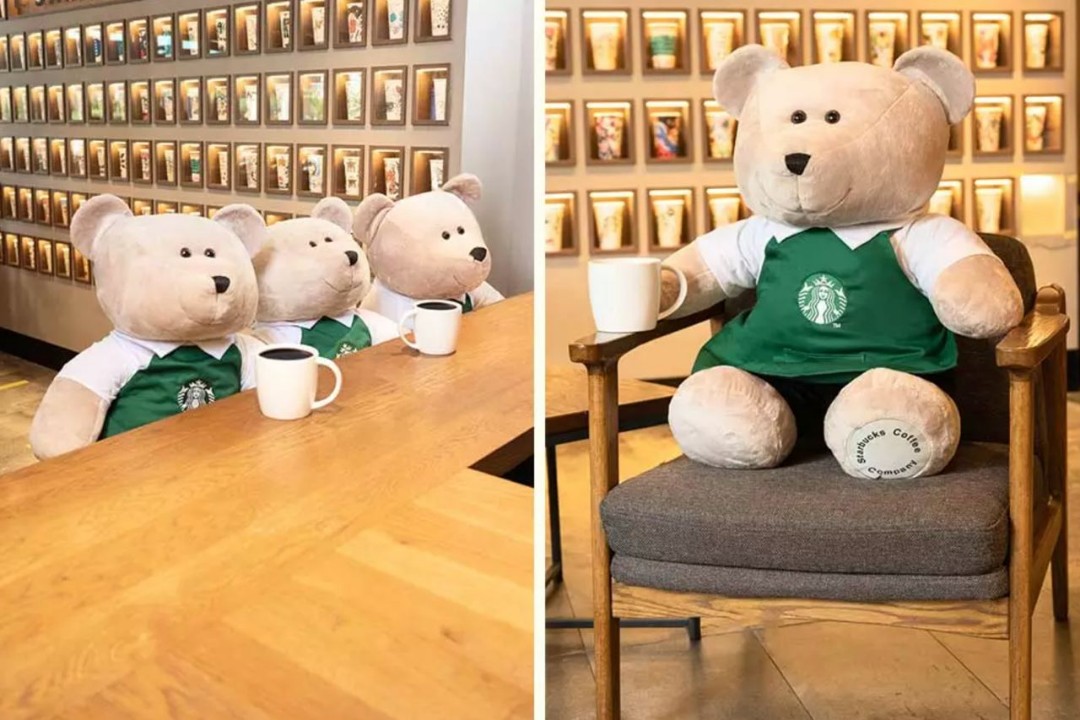 Starbucks Giant Bearista (OFFICIAL!), Hobbies & Toys, Toys & Games on