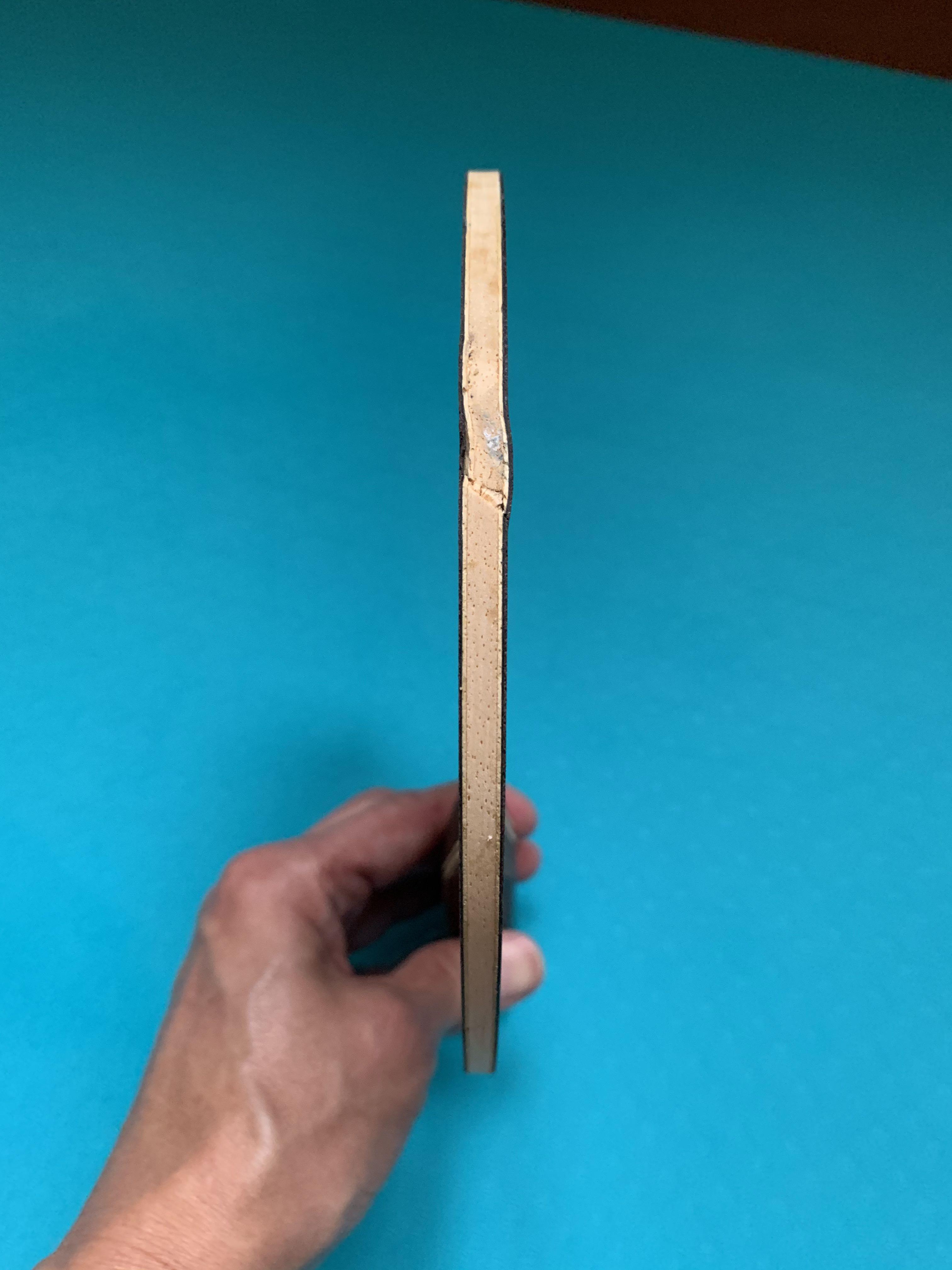 Stiga Dynasty Carbon Xu Xin Edition Penhold, Sports Equipment, Sports ...
