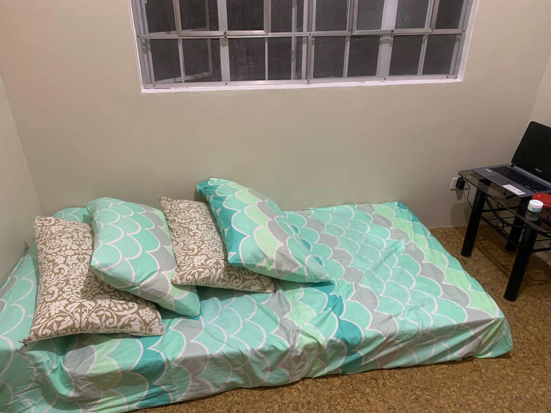 Uratex foam 36 x 75 sale price