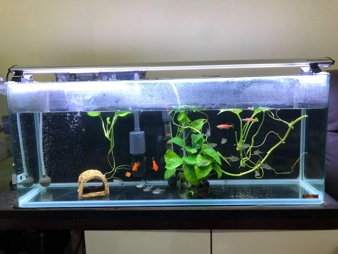 魚缸燈led Light 其他 其他 Carousell