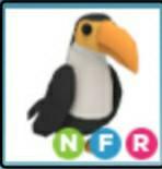 Adopt Me Nfr Toucan Toys Games Video Gaming Gaming Accessories On Carousell - nfr gold penguin in adoptme roblox ebay