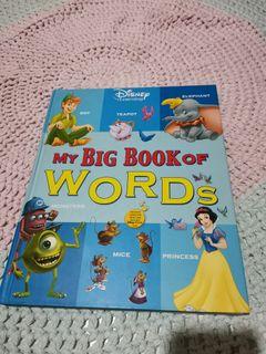 Disney big book word of English