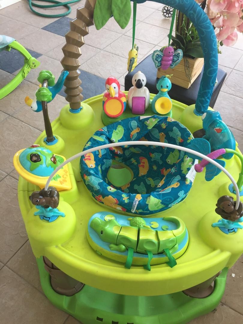 rainforest exersaucer