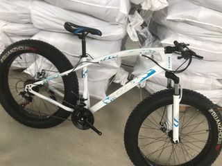 benshi fat bike price