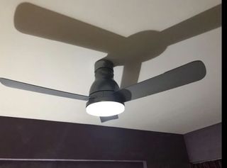 (Category: ) located in . Submitted by alraznco (Listing ID 1039750675, Image 1). Description: .
