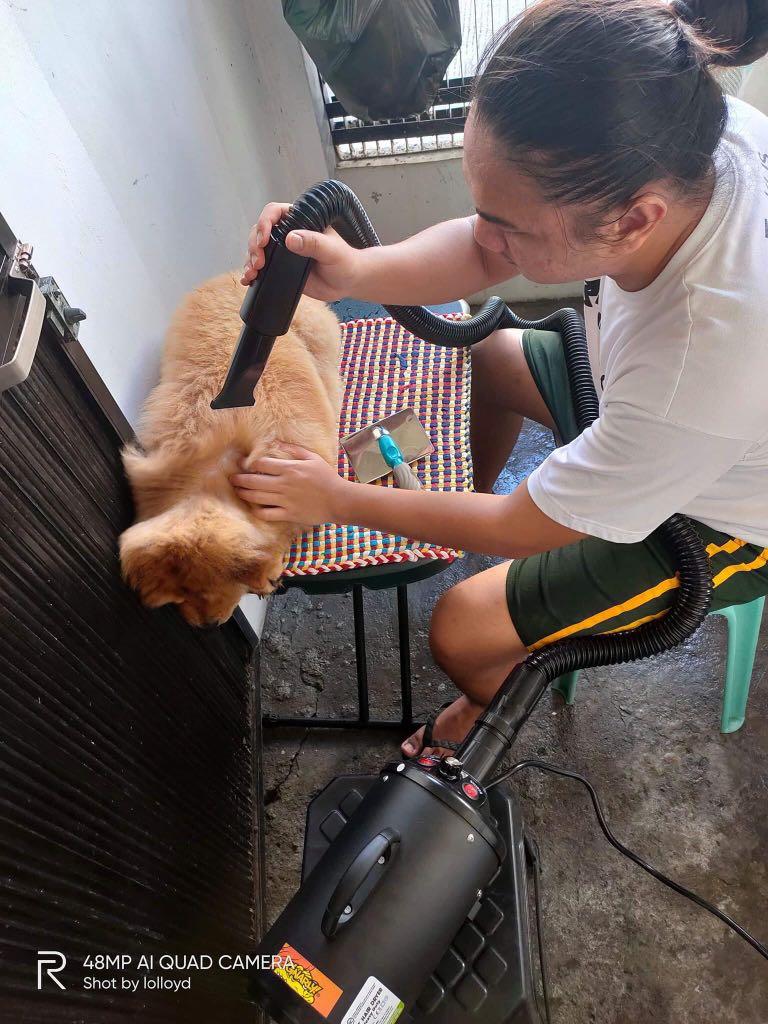 paw smart pet blower