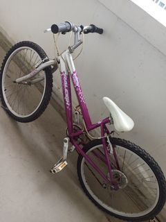 raleigh krush 24