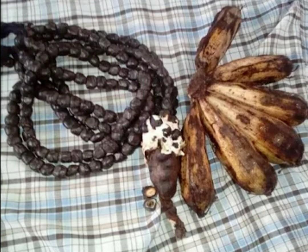 Tasbih Biji Pisang Pidak Sunan Bonang Asli Natural Rare And Unique — Pre Order Hobbies And Toys 7107