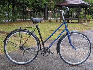 raleigh elia ladies mountain bike