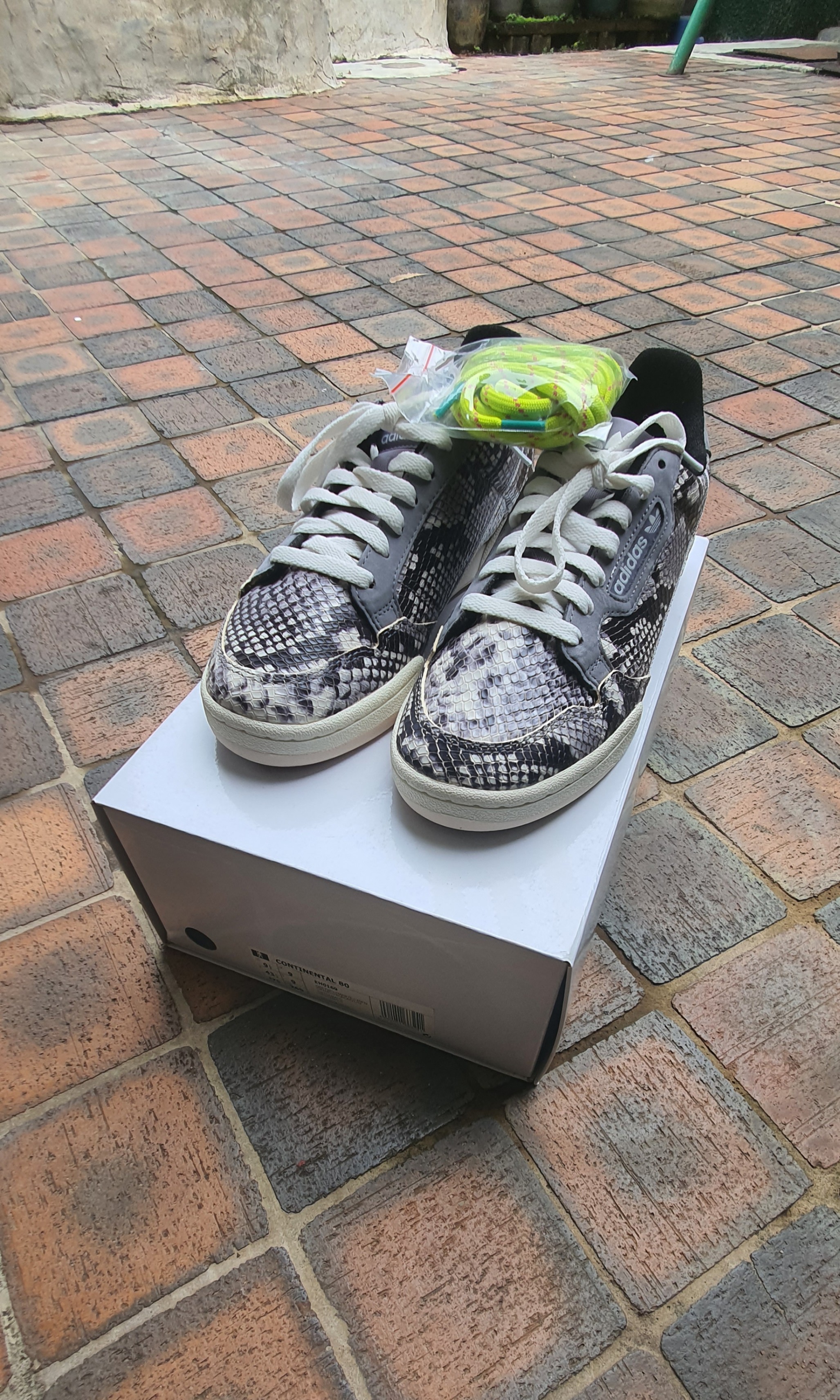 Adidas continental 80 hot sale serpent