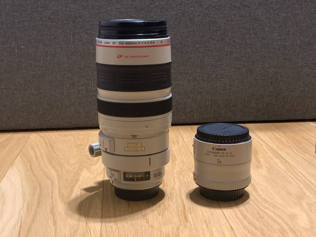 Nego Canon Ef 100 400mm F 4 5 5 6l Is Usm Extender Ef 2x Ii Photography Lenses On Carousell