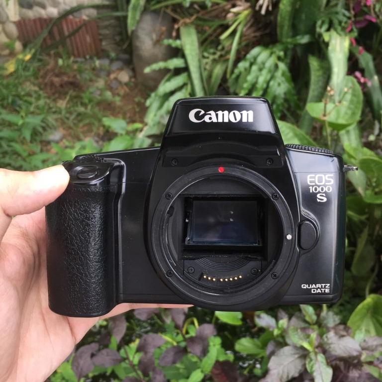 canon eos film cameras