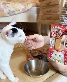(Category: ) located in . Submitted by pets.r.us.manila (Listing ID 1040020770, Image 1). Description: .