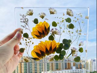 (Category: ) located in . Submitted by flower_addict (Listing ID 1040120761, Image 1). Description: .