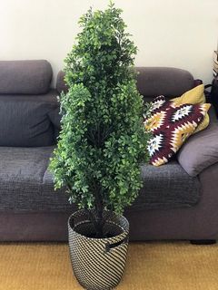 (Category: ) located in . Submitted by gauravpathak (Listing ID 1039958067, Image 1). Description: .