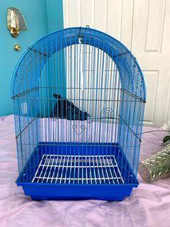 Medium bird cage