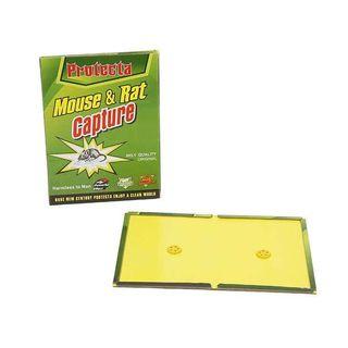 Mickey Mouse Capture pad