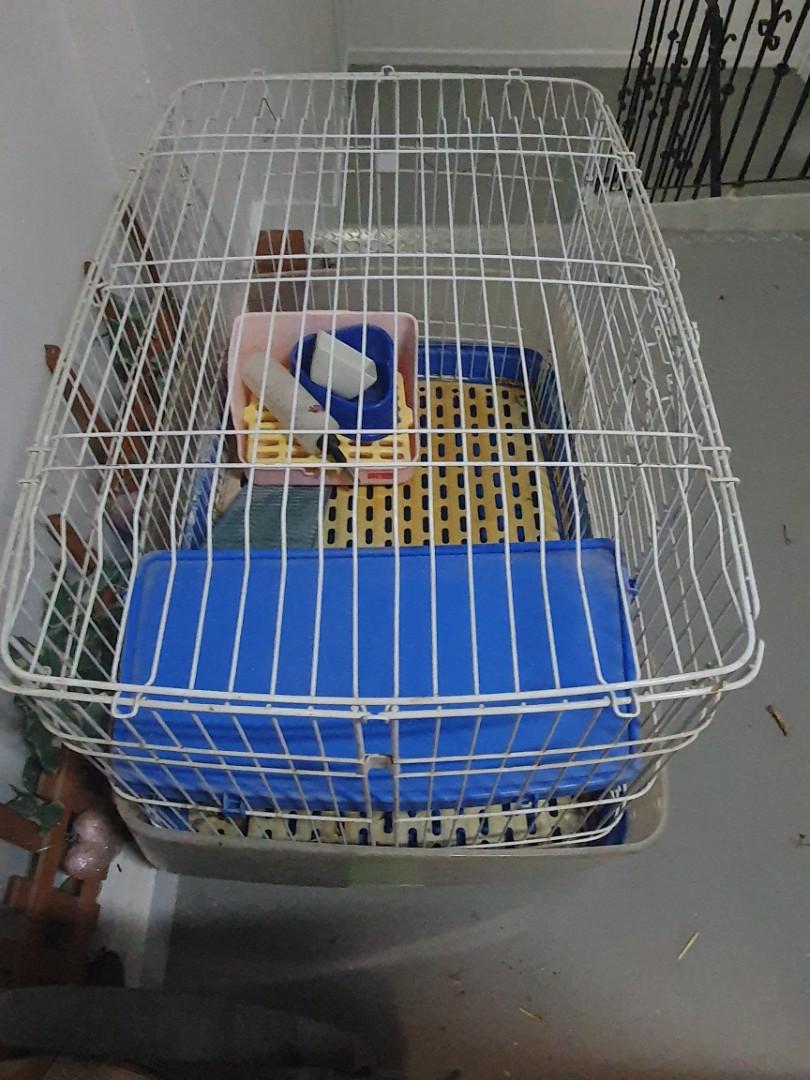 double storey rabbit cage