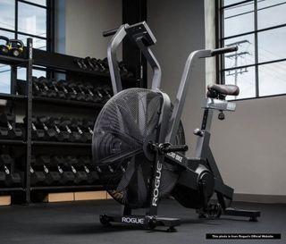 rogue stationary bike