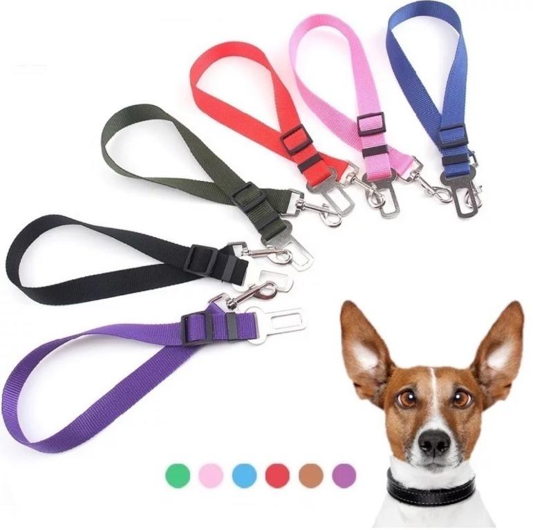 Belt dog clearance