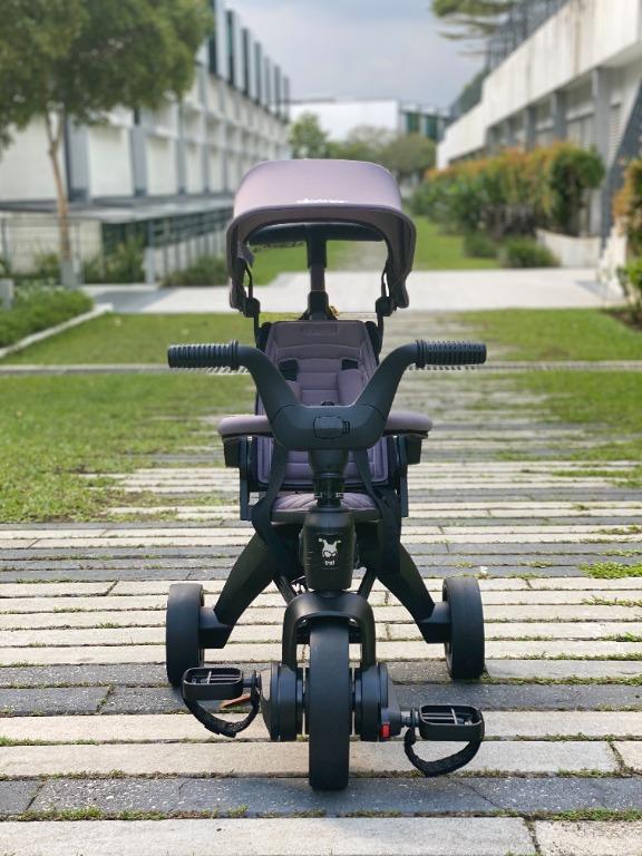liki trike s3 grey hound