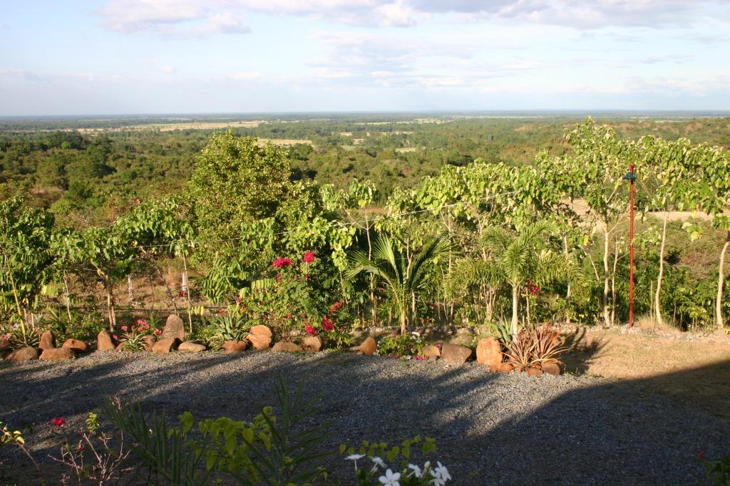 Farm for sale with piggery (Category: Lot) located in Mangatarem. Submitted by mmbaarsby (Listing ID 1040306278, Image 1). Description: A 35,181 sqm. farm with clean title, located in a mountainous area in Brgy. Sapang, Mangatarem, Pangasinan, is now for sale at a very favorable price. The farm is surrounded by a fence with three gates. Inside the farm, which is called AlfaLand, you will find: - A a fully operational piggery with three buildings 