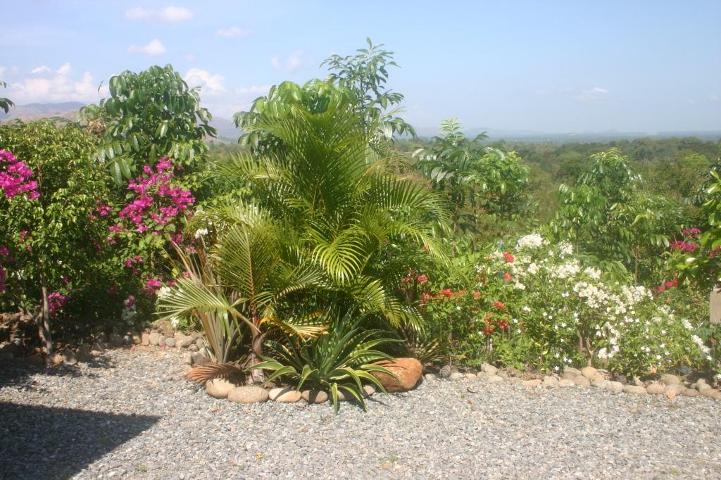 Farm for sale with piggery (Category: Lot) located in Mangatarem. Submitted by mmbaarsby (Listing ID 1040306278, Image 3). Description: A 35,181 sqm. farm with clean title, located in a mountainous area in Brgy. Sapang, Mangatarem, Pangasinan, is now for sale at a very favorable price. The farm is surrounded by a fence with three gates. Inside the farm, which is called AlfaLand, you will find: - A a fully operational piggery with three buildings 
