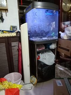 (Category: ) located in . Submitted by samnar32 (Listing ID 1040278390, Image 1). Description: .